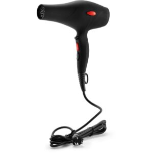 Cera Pro DC Dryer