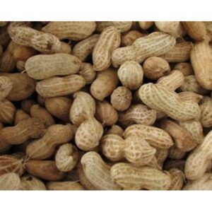 Hobby First Peanuts with shell 10 kg