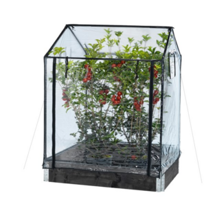 HORTUS Greenhouse tall 110/130 x 115 x 76 cm