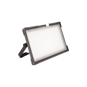 Lena Magnum Future L - 73W - 9250 lm - 2021 version w/o battery