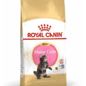 Royal Canin Maine Coon Kitten 4kg