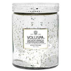 Voluspa Large Jar Candle Silver Birch Peppercorn 100h - 510 g