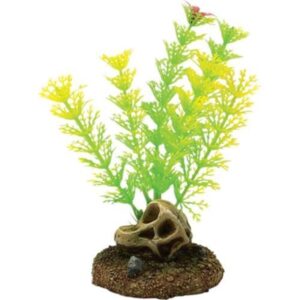4FISH Skull and plants 6.5x6.3x13.3 cm