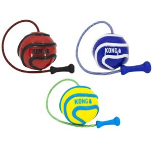 KONG Wavz Bunjiball