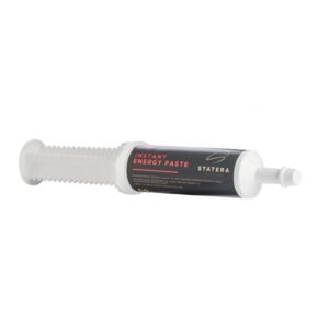 STATERA Horsecare Instant Energy Paste