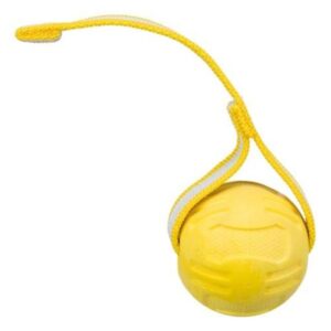 Trixie Ball on a Strap for Dogs ø 6 cm/20 cm assorted colours