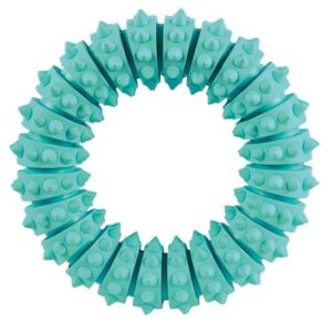 Trixie Denta Fun ring mint flavour rubber ø 12 cm