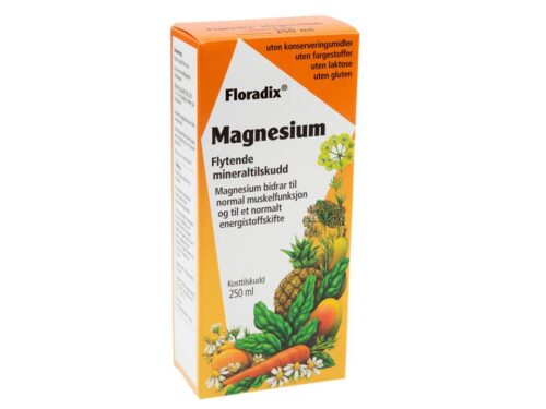 Floradix Magnesium 250 ml