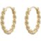 Snö of Sweden Exibit ring ear plain gold 7323167503485