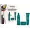 Aveda Botanical Repair Bond building haircare kit 1 pcs 0018084047729