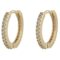 Snö of Sweden Hoop Earrings Gold/Clear 7323160715625