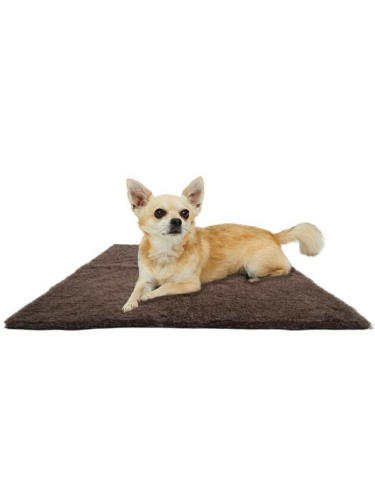 Active Canis hund – 5705833911237