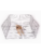 Active Canis hund – 5705833068450