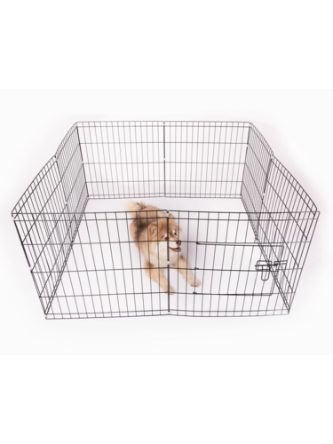 Active Canis hund – 5705833068450