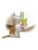 AFP katt – 0847922057602