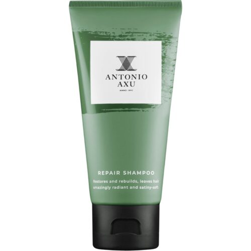Antonio Axu Repair Shampoo Travel 60 ml – 7391593004715