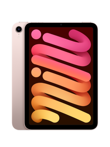 iPad mini 6 – 0194252728130