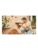 Bosch drill – 4053423242836