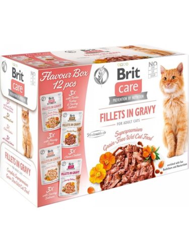 Brit katt – 8595602541706