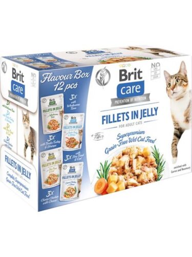 Brit katt – 8595602541690