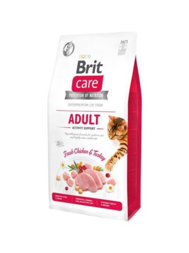 Brit katt – 8595602540815