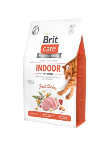 Brit katt – 8595602540853