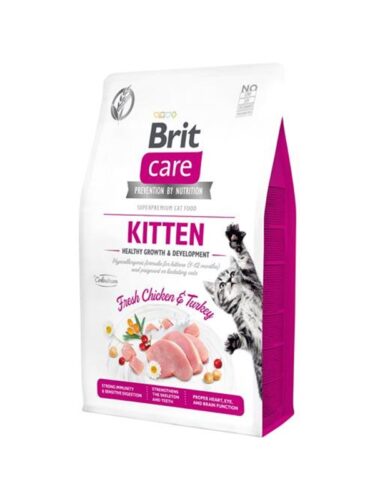 Brit katt – 8595602540679