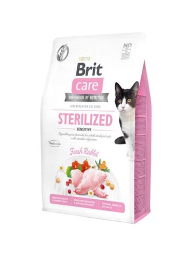 Brit katt – 8595602540761