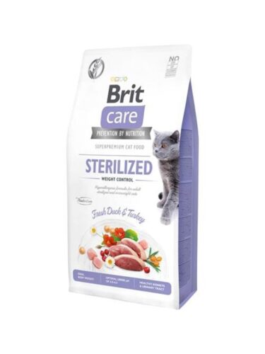 Brit katt – 8595602540785