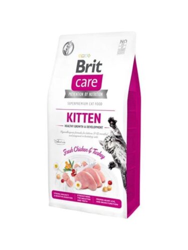 Brit katt – 8595602540662