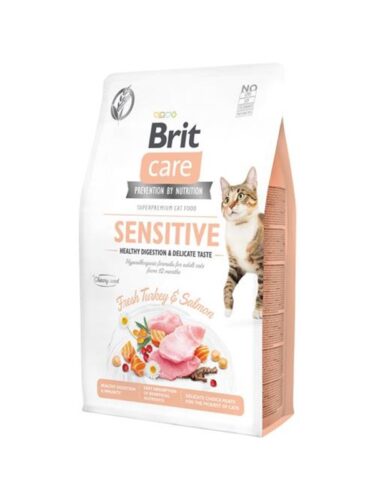 Brit katt – 8595602540709