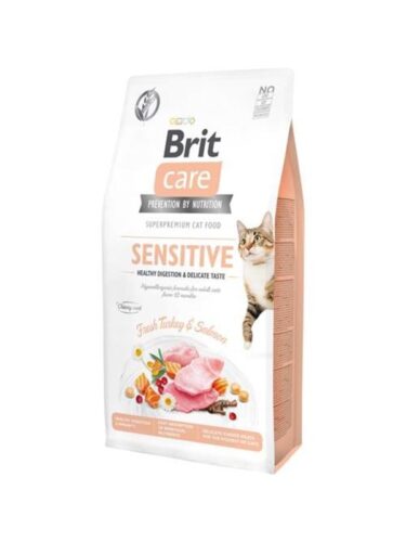 Brit katt – 8595602540693