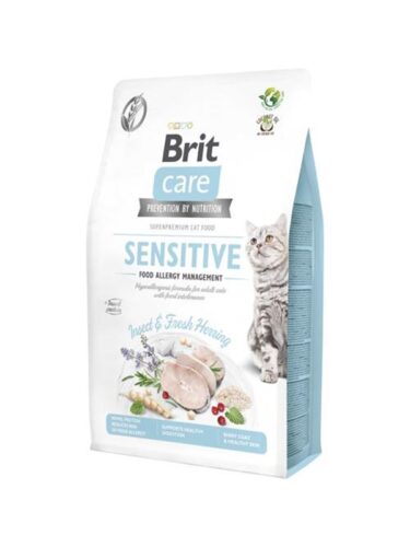 Brit katt – 8595602554218