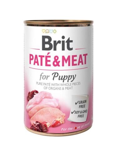 Brit hund – 8595602531714