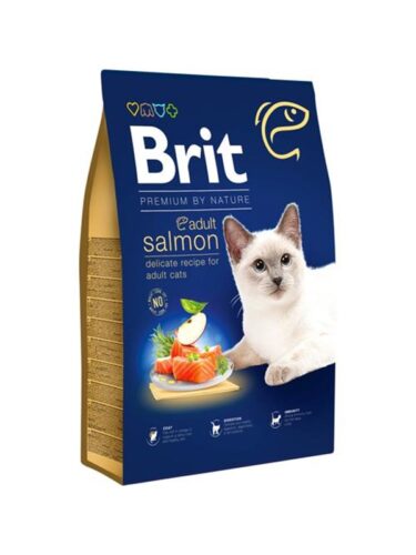 Brit katt – 8595602553211