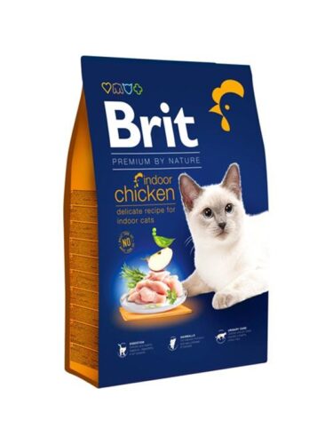 Brit katt – 8595602553228