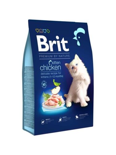 Brit katt – 8595602553198