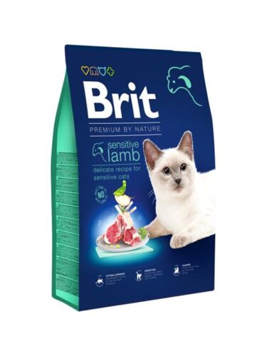 Brit katt – 8595602553266