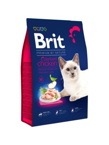 Brit katt – 8595602553235