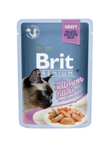 Brit katt – 8595602518562