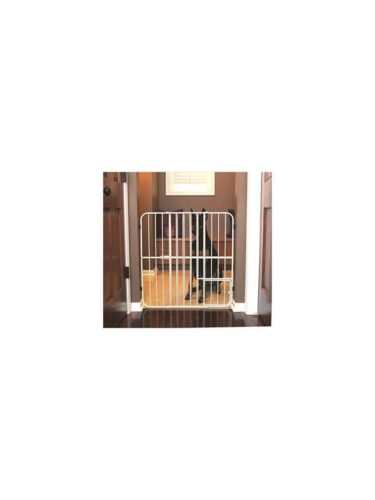 Carlson hund – 0891618006320