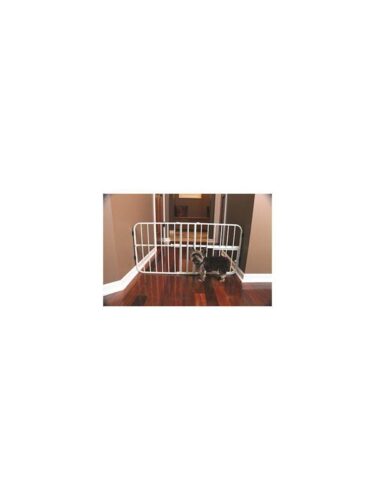 Carlson hund – 0891618006184