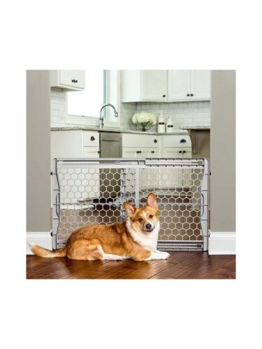 Carlson hund – 0891618001585