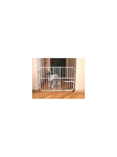 Carlson hund – 0891618006245
