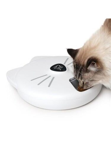 Catit katt – 0022517437544