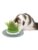Catit katt – 0022517431610
