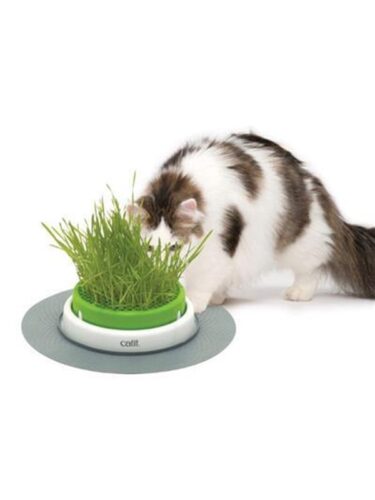 Catit katt – 0022517431610