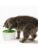 Catit katt – 0022517437414