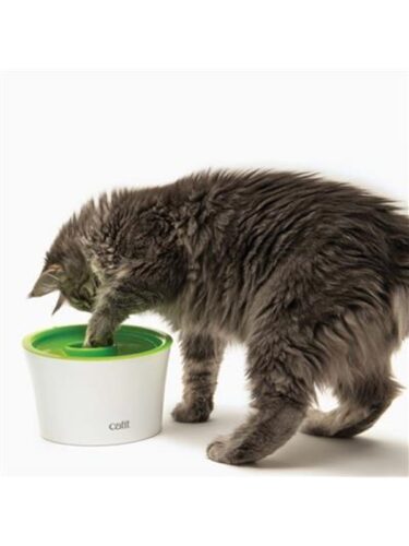 Catit katt – 0022517437414