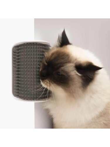 Catit katt – 0022517431528
